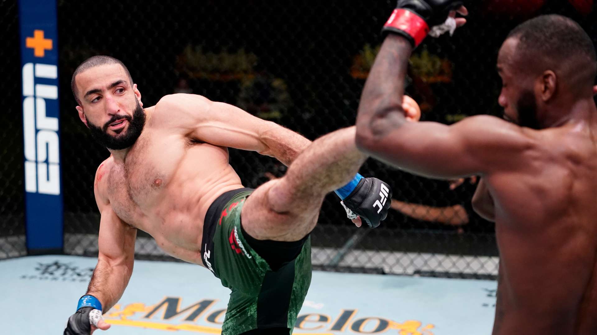 在这种情势 在这种情势